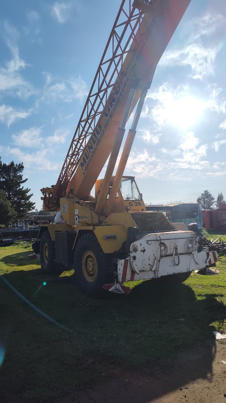 Diagnóstico Liebherr